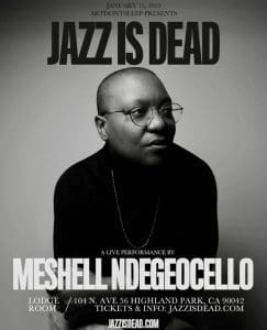 Meshell Ndegeocello